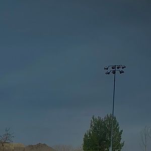 Meet your Posher, Frida